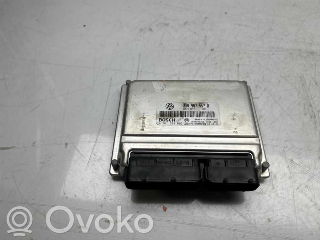 Volkswagen PASSAT B5.5 Centralina/modulo del motore 