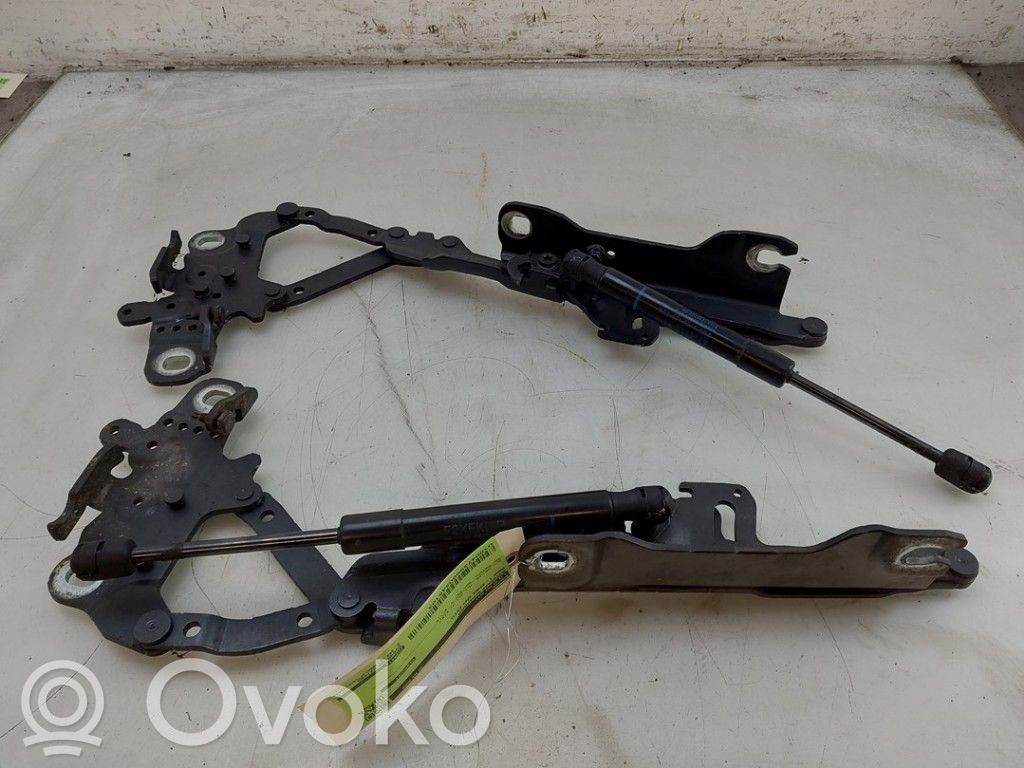 BMW 1 F20 F21 Cerniere del vano motore/cofano 