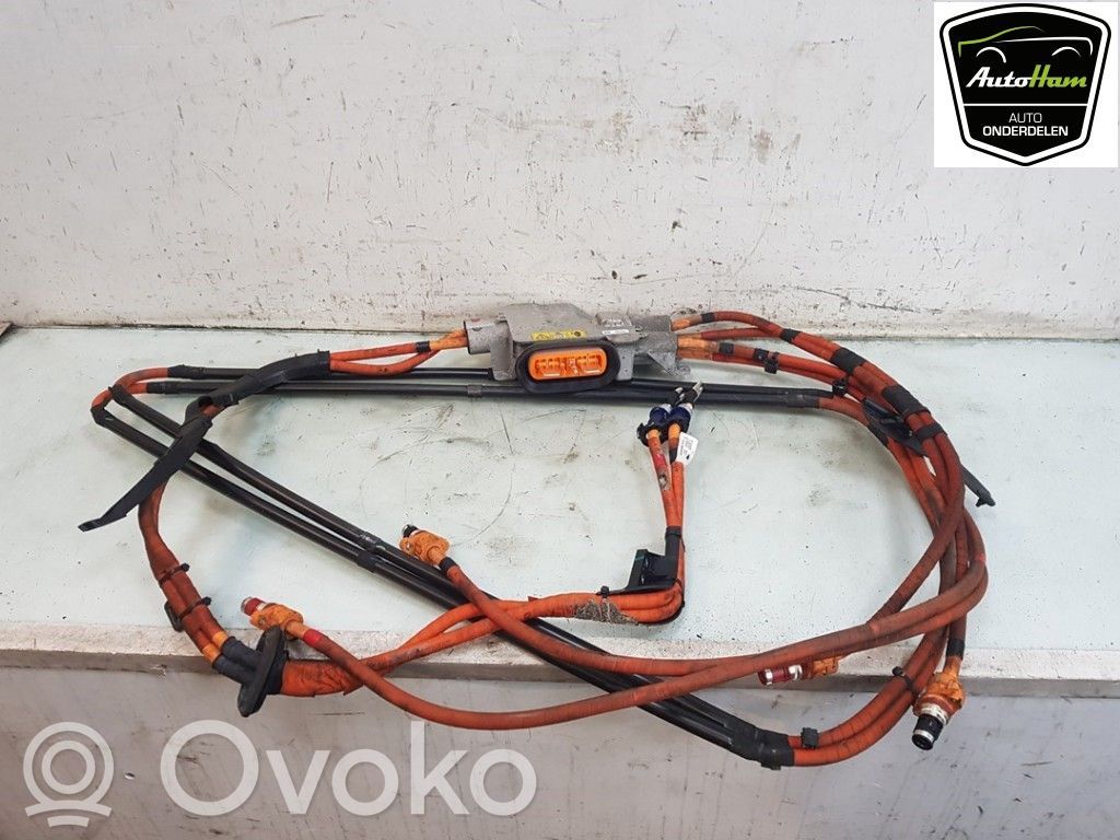 Tesla Model X Aukštos įtampos laidas 