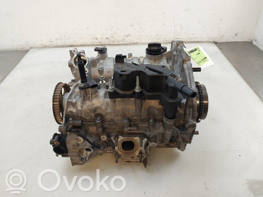Ford Puma Galvutė 