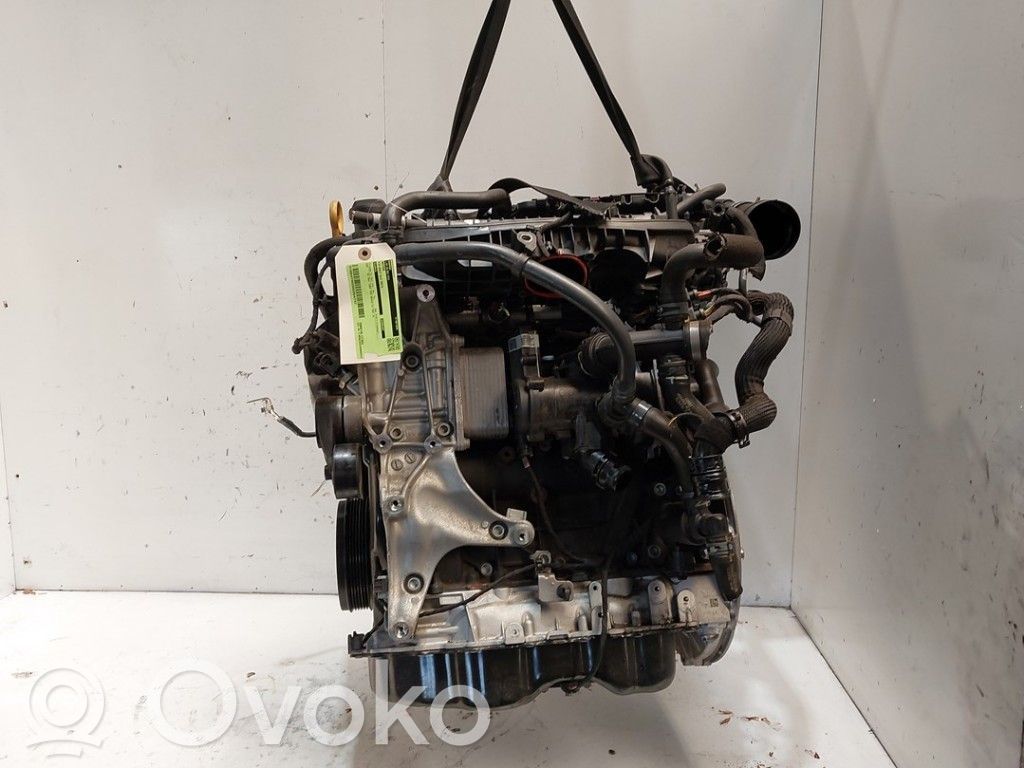 Volkswagen Golf VIII Motor 