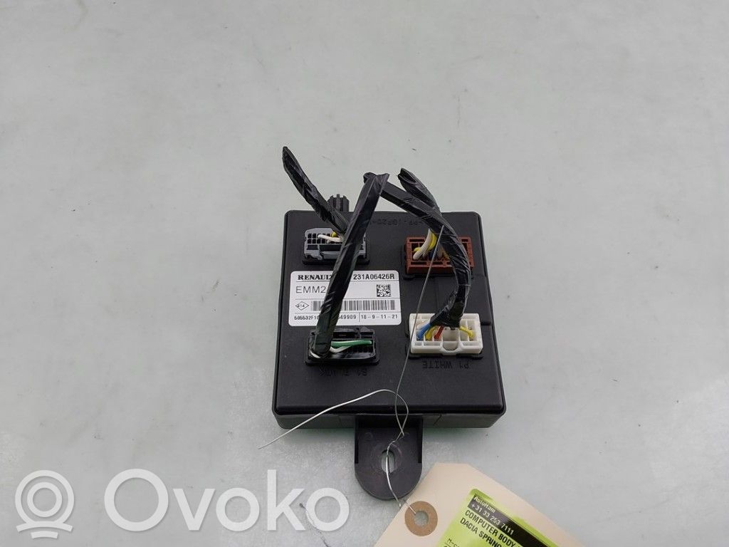 Dacia Spring Other control units/modules 