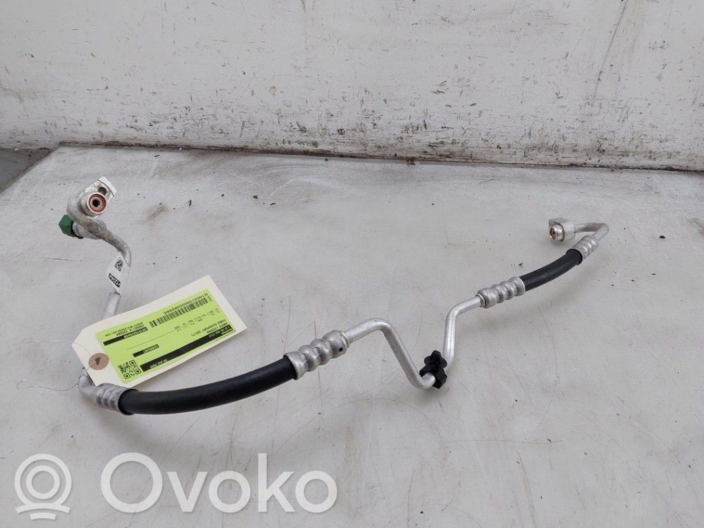 Ford Ecosport Ilmastointilaitteen putki (A/C) 