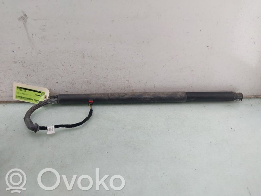 Volkswagen Tiguan Motor ridicare hayon/capotă portbagaj 