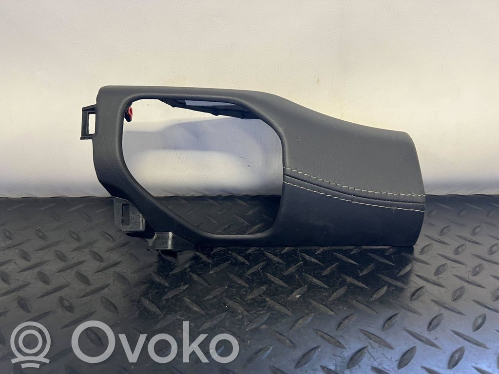 Dodge RAM Panel trim 