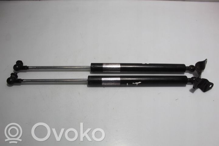 Tailgate hydraulic set