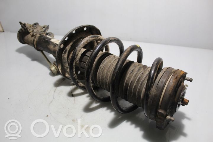 Front shock absorber with coil spring