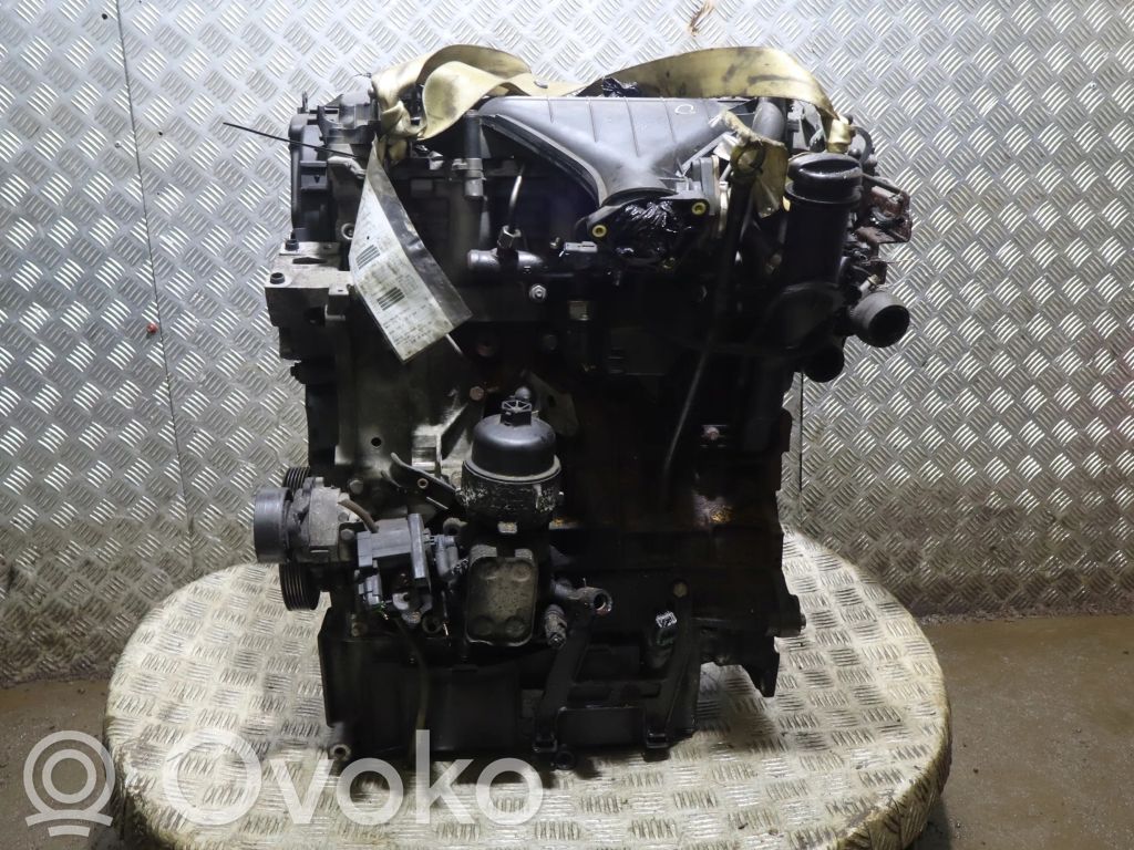 Motor   10DYUR