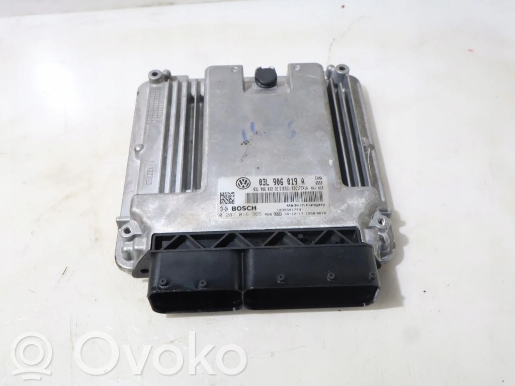 Seat Exeo (3R) Engine control unit/module ECU 