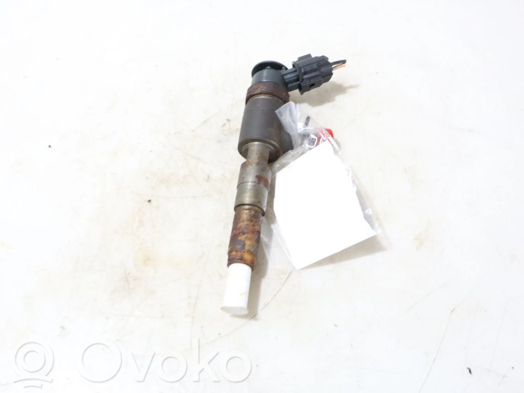 Peugeot 207 Injector combustibil