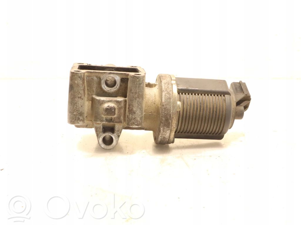 Valvola EGR   50024005