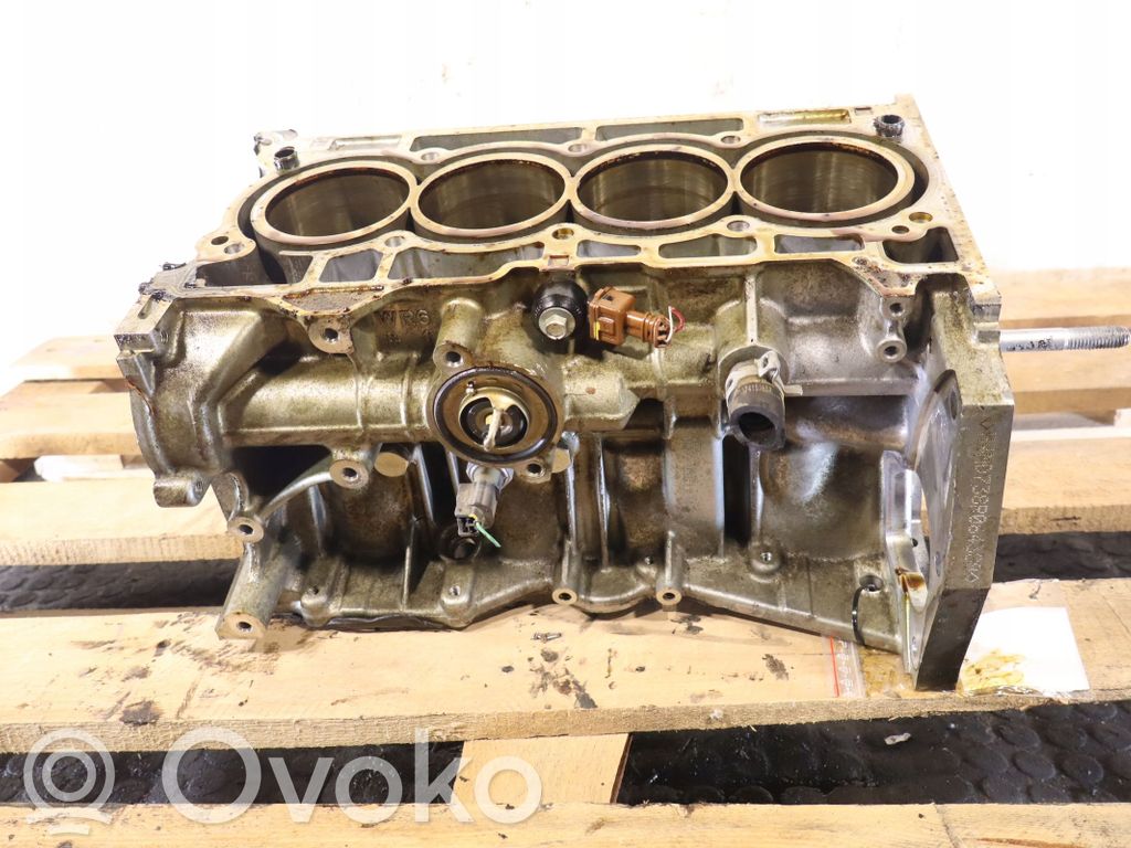 Dacia Dokker Engine block 