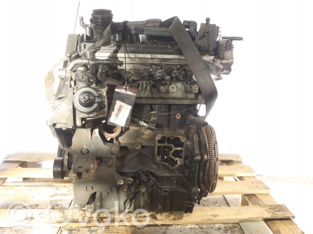 Motor   CBD