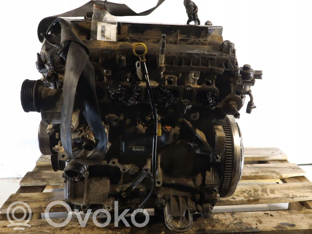 Ford Focus Motor 