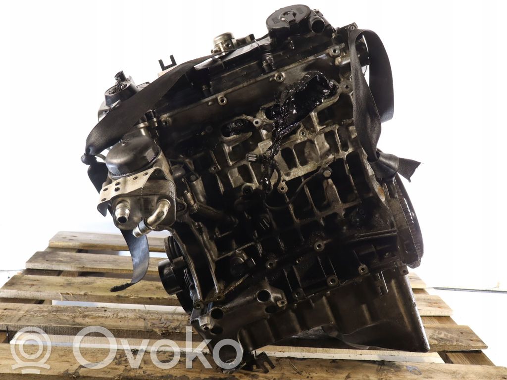 Variklis   N43B20A