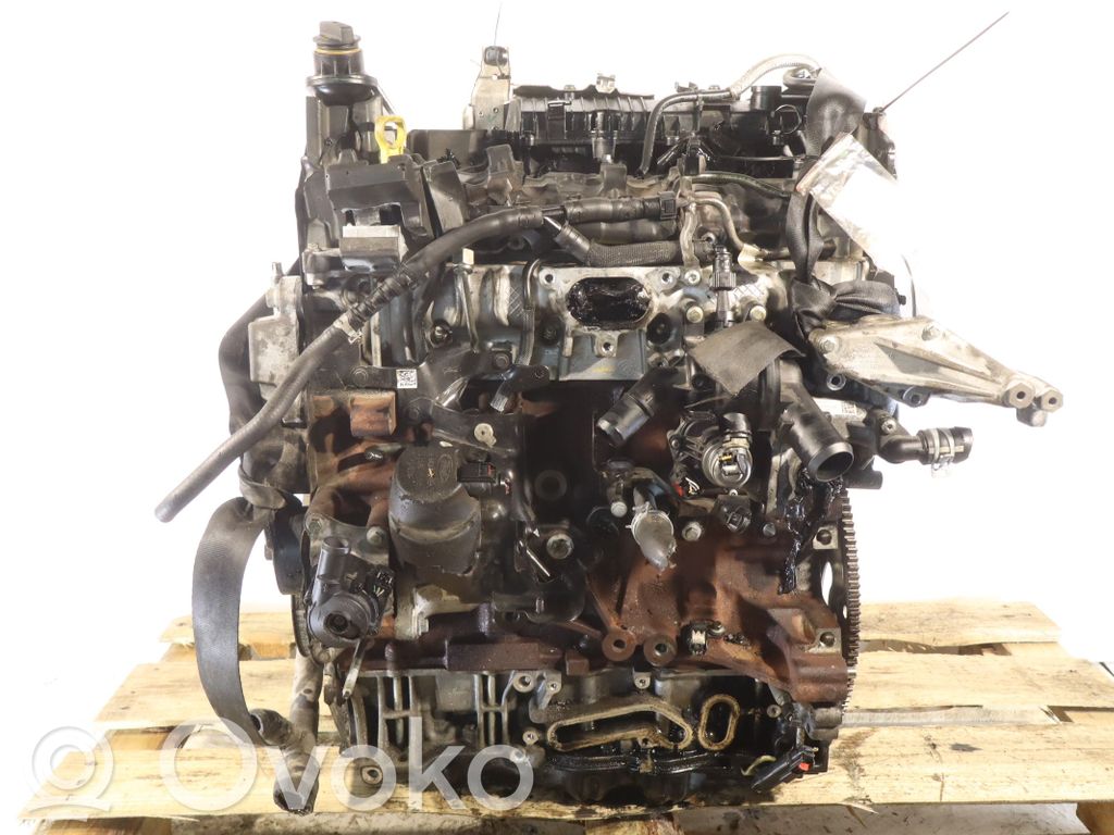 Motor   BCCC