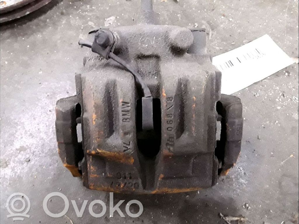 Takajarrusatula   34216768698