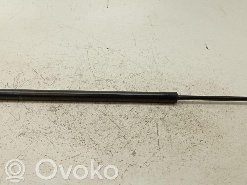 Ford Kuga I Tailgate/trunk strut/damper 
