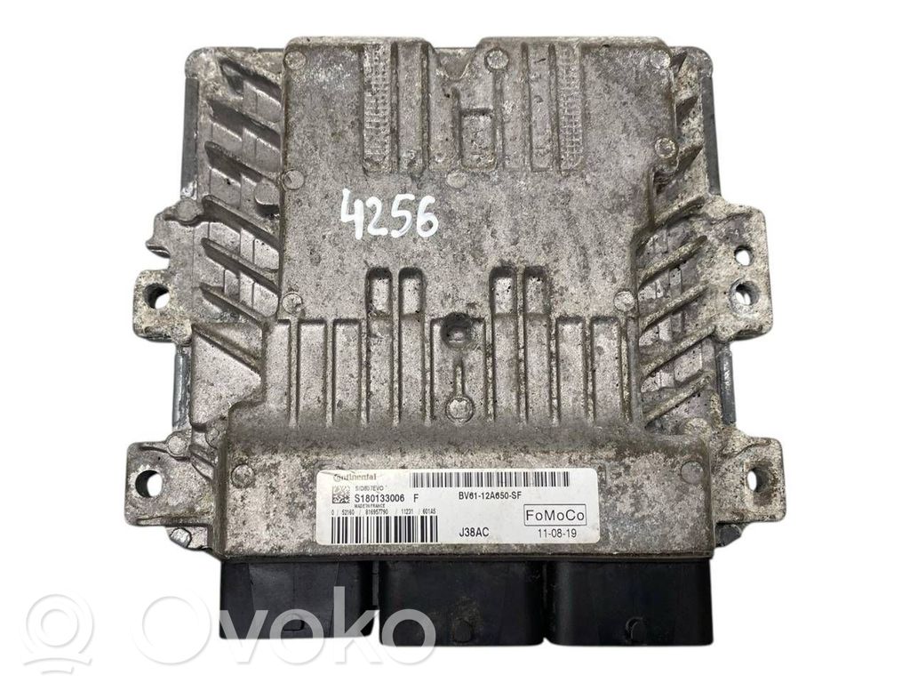 Ford Focus Engine control unit/module 