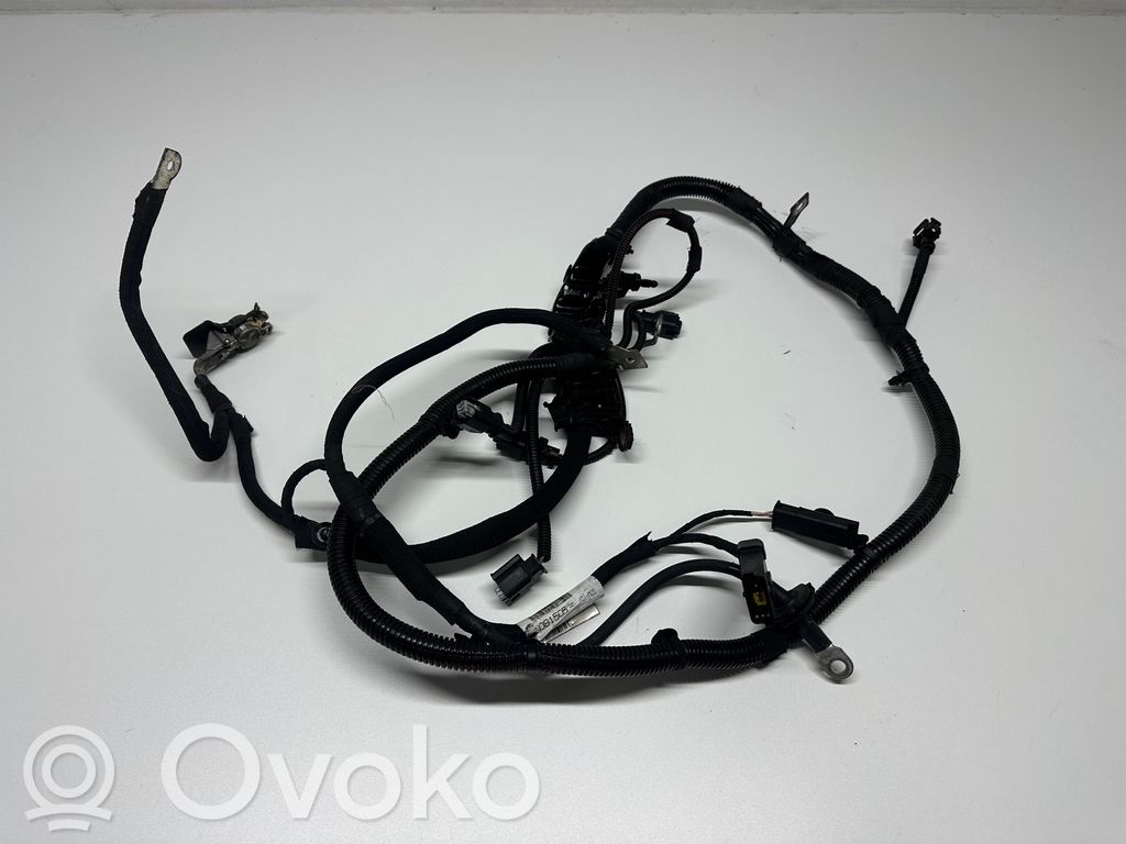 Citroen Berlingo Cableado de instalación del motor 