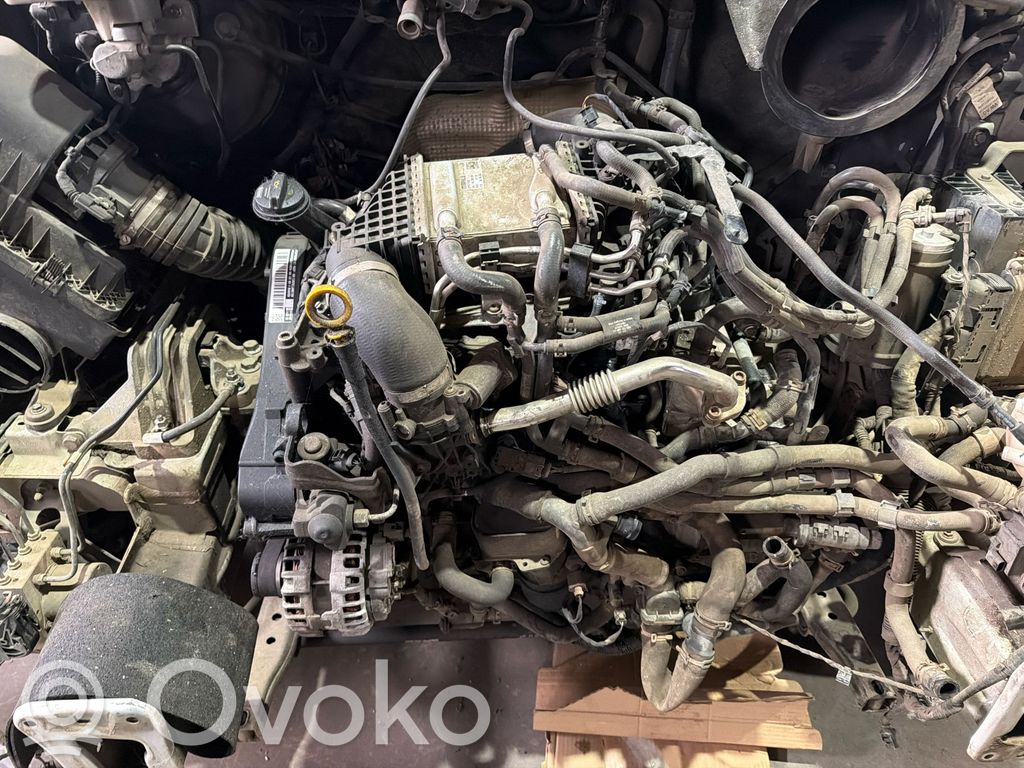 Engine   DAU