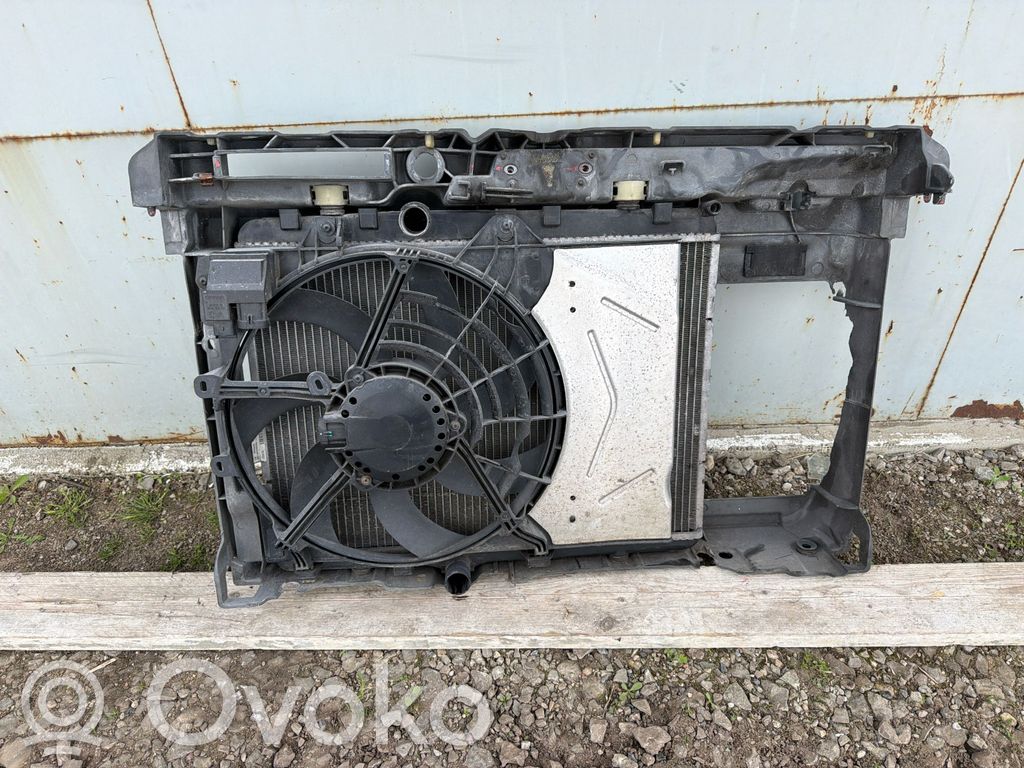 Citroen C4 Cactus Radiator lichid răcire 