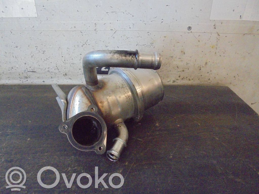 Volkswagen PASSAT B8 Valvola di raffreddamento EGR