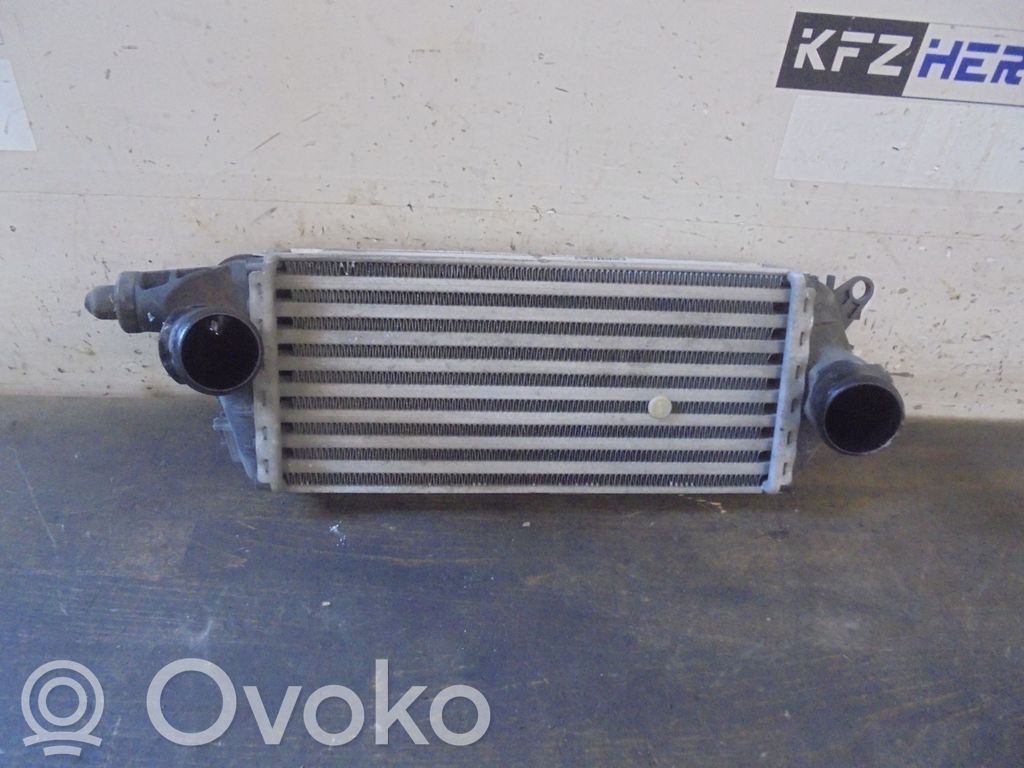 Mini One - Cooper R50 - 53 Interkūlerio radiatorius 