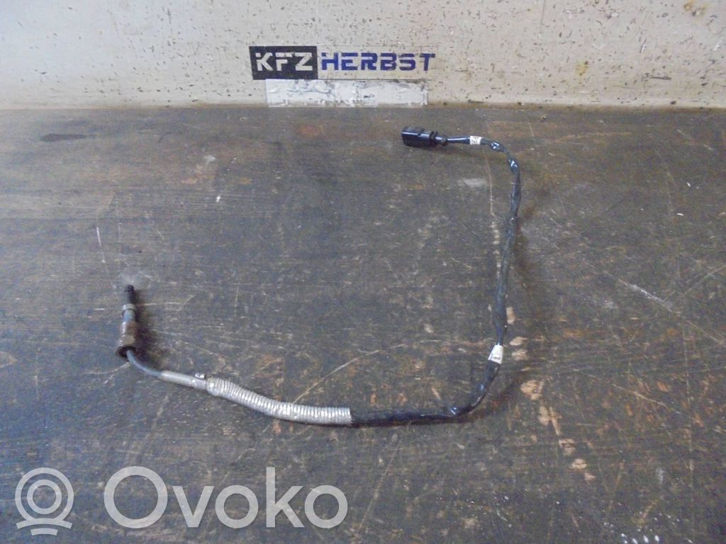 Skoda Superb B8 (3V) Sensor 
