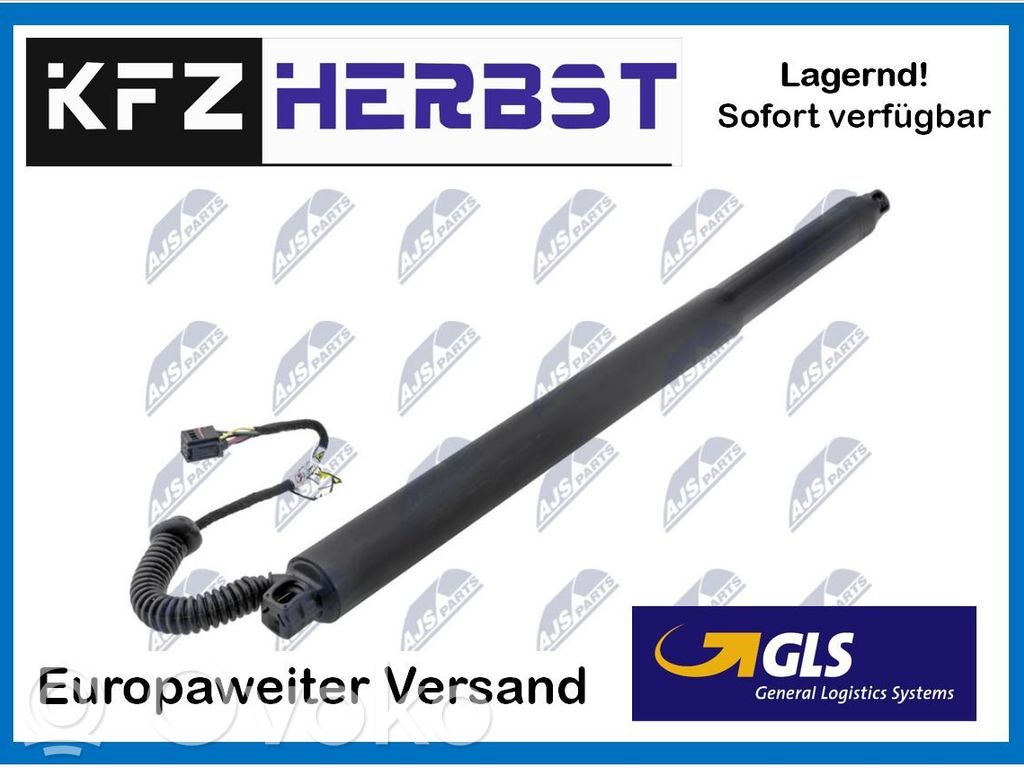 Seat Ateca Tailgate/trunk strut/damper 
