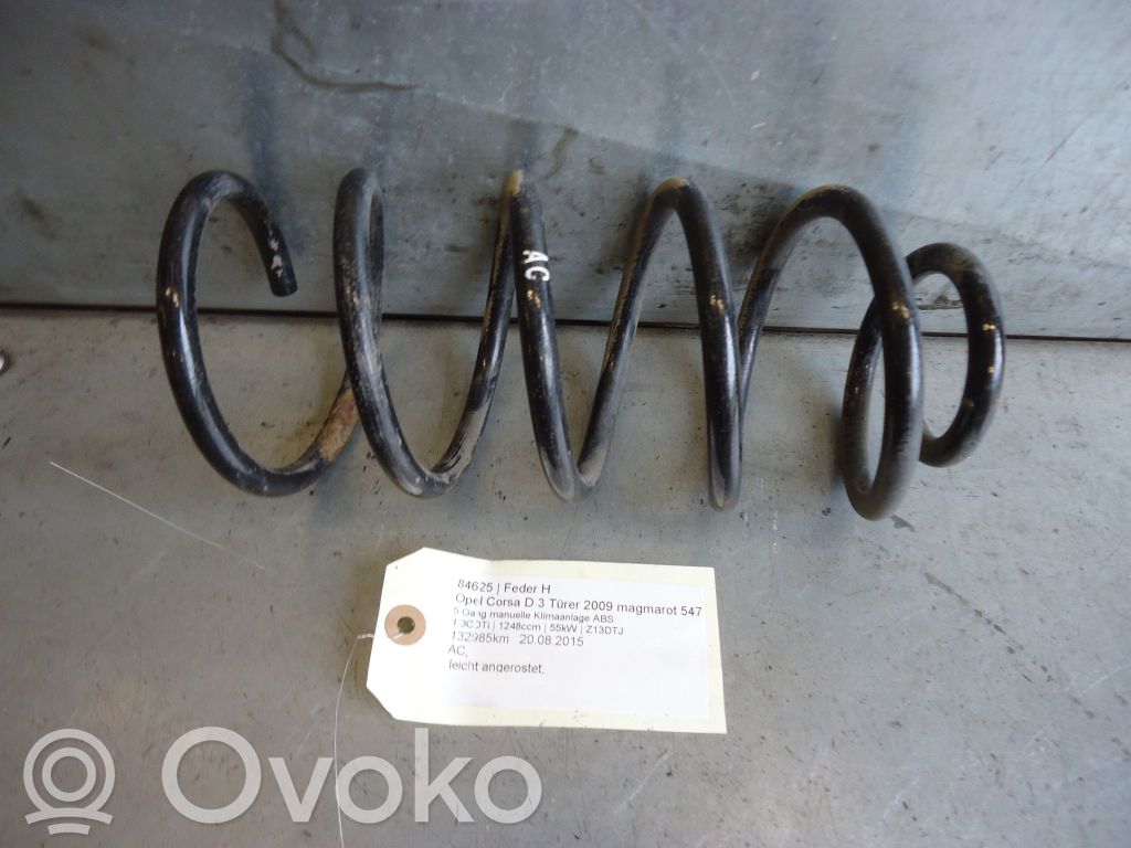 Rear coil spring