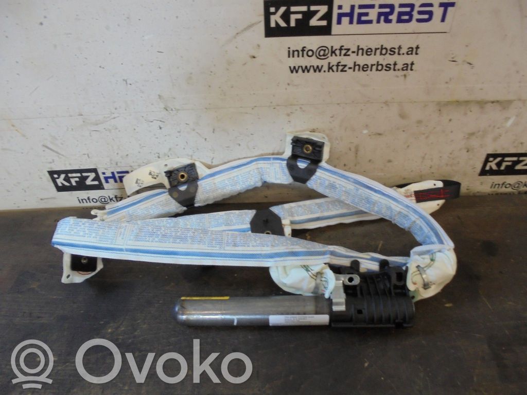 Airbag del techo   13150704,13150704