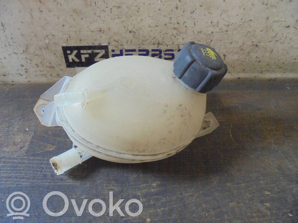 Renault Clio IV Serbatoio di compensazione del liquido refrigerante/vaschetta 