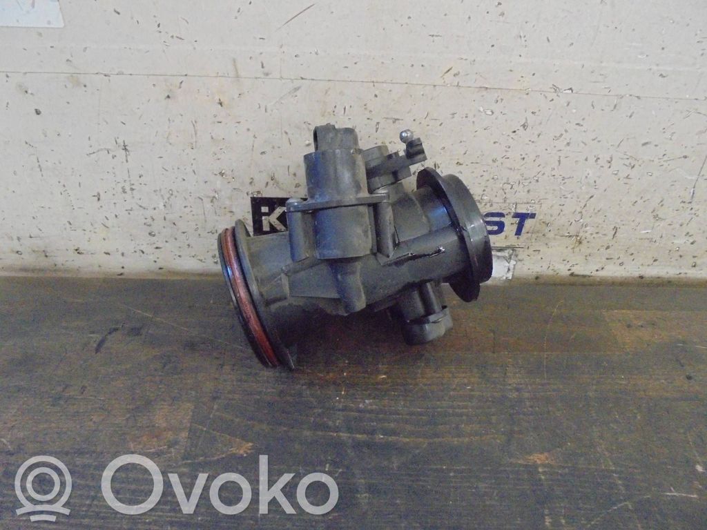 Dacia Sandero Drosselklappe 