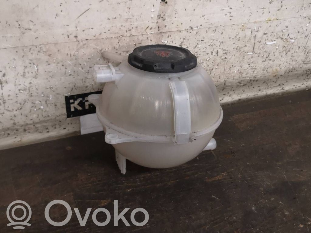 Skoda Fabia Mk3 (NJ) Vas expansiune/rezervor lichid de răcire