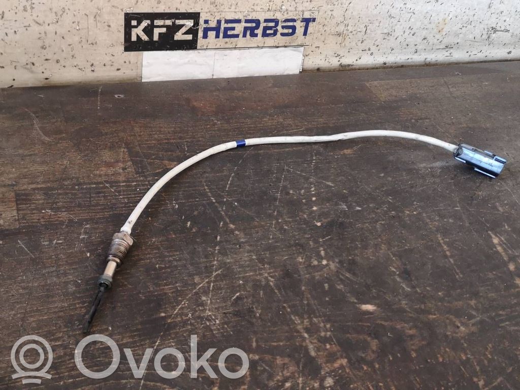 Ford Fiesta Sensor 