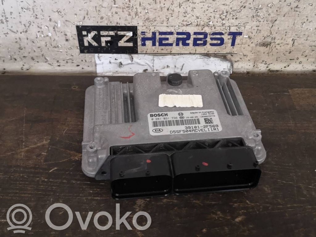 Engine control unit/module   391012F569,0281031736,0281031736,391012F569