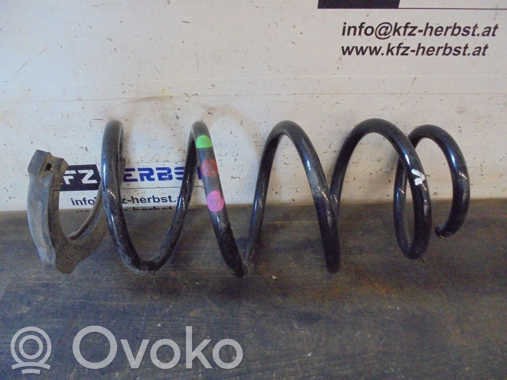 Front coil spring