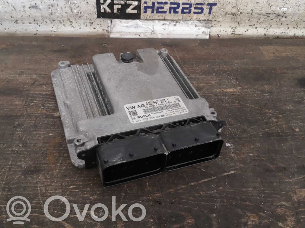 Engine control unit/module   04L907309L,0281030258,0281030258,04L906026AG,04L907309L,8WA