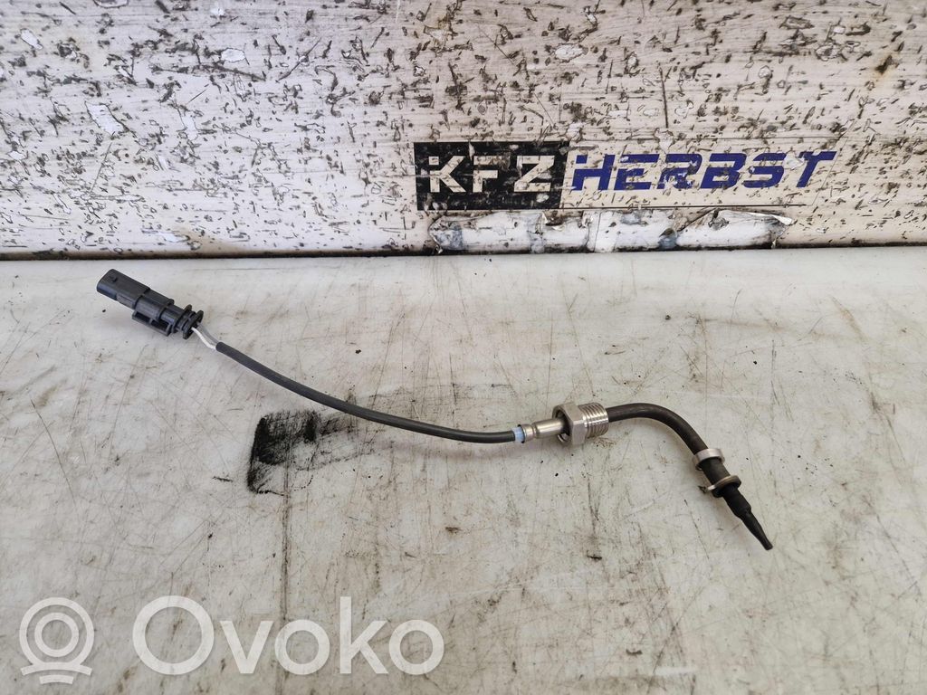Fiat Tipo Cita veida sensors 