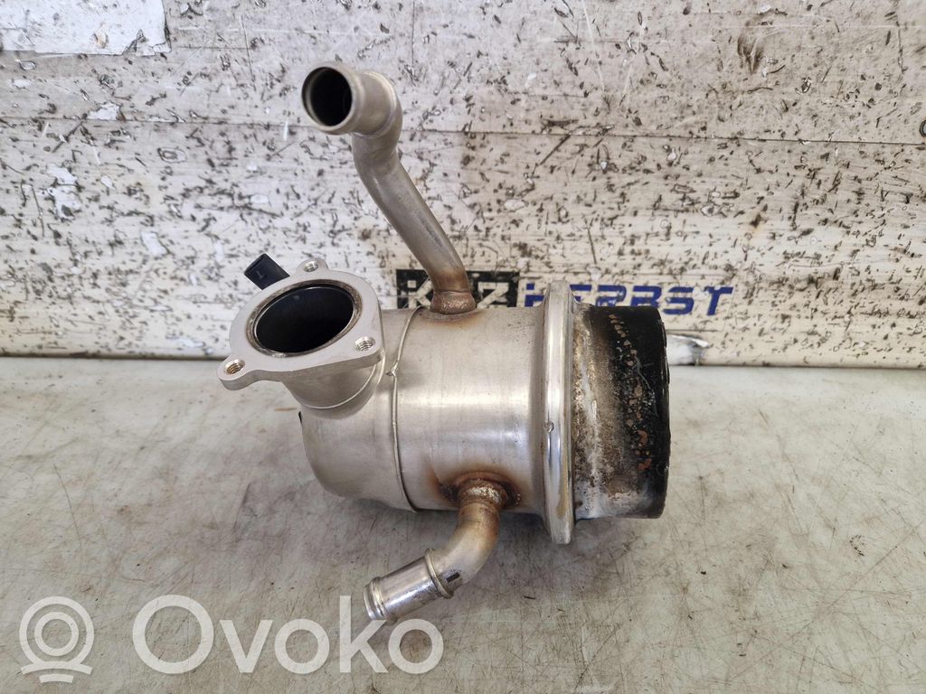 Skoda Octavia Mk4 Refrigerador de la válvula EGR 