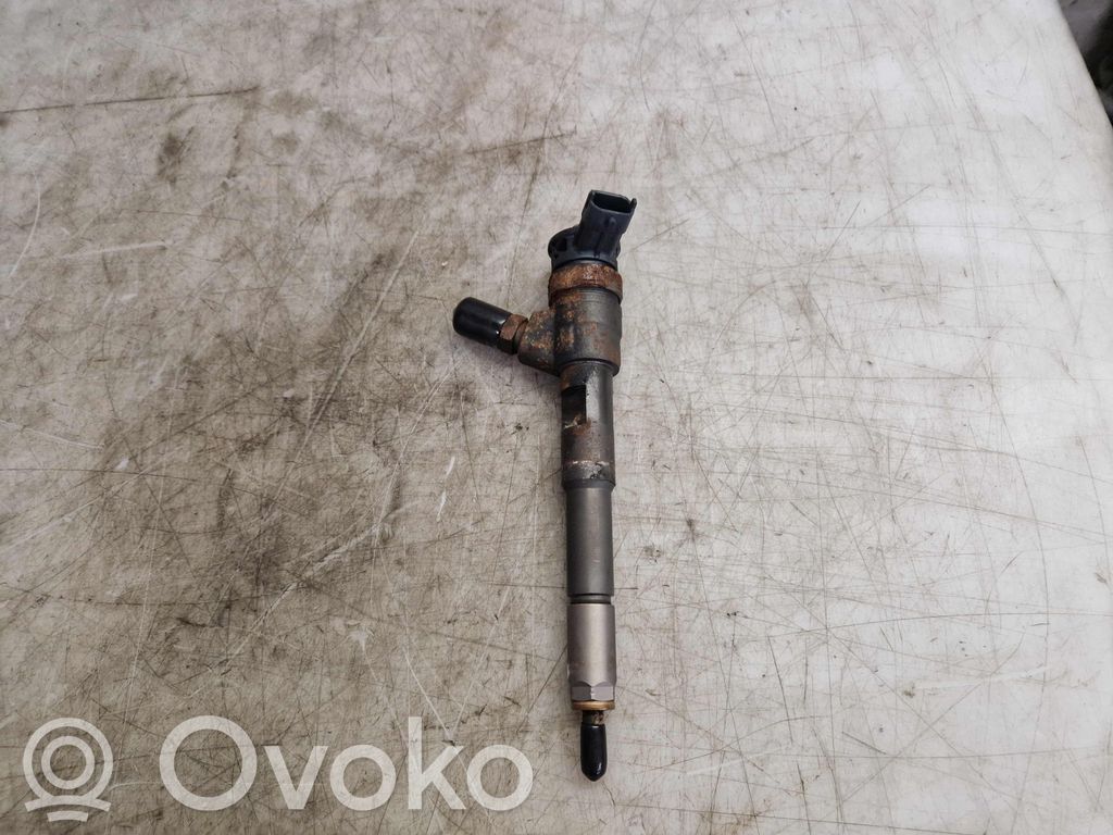 Inyector de combustible   166008399R,166008399R