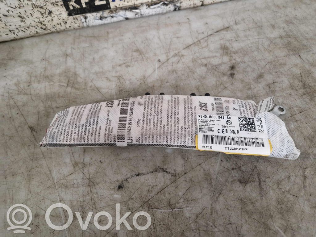 Türairbag vorne   5H0880241S,5H0880241S