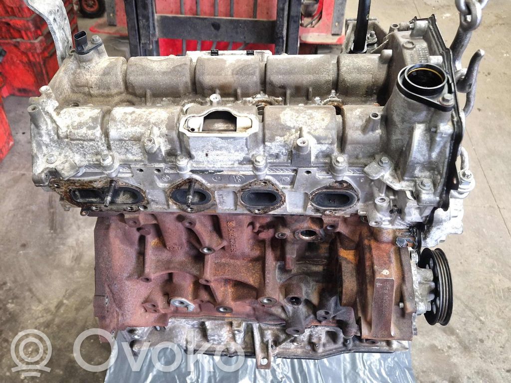 Ford Transit Variklis 