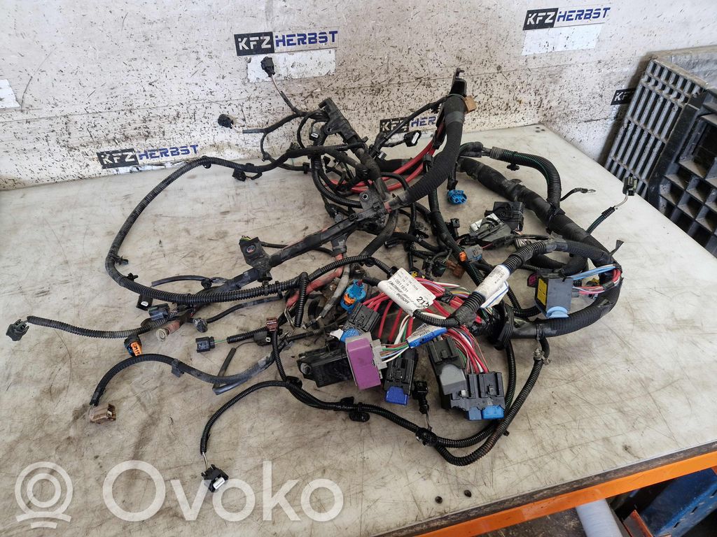 Cableado de instalación del motor   240119650R,240119650R