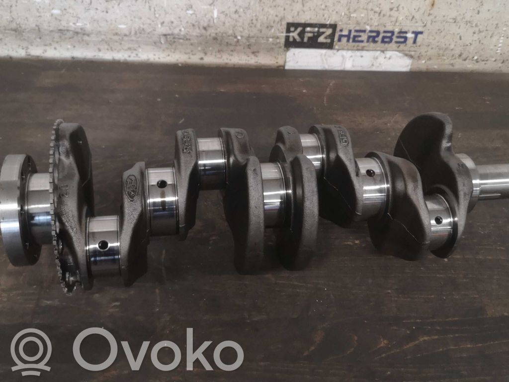 Kloķvārpsta   RFGK2QCA,RFGK2QCA