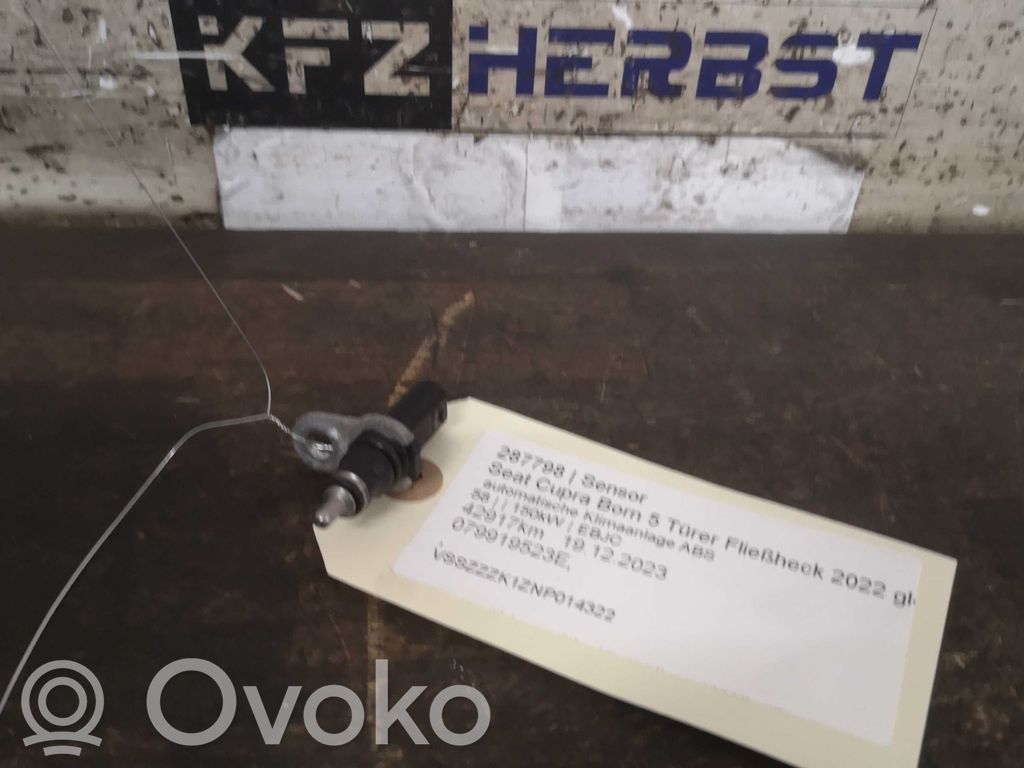Sensor / Fühler / Geber   079919523E,079919523E
