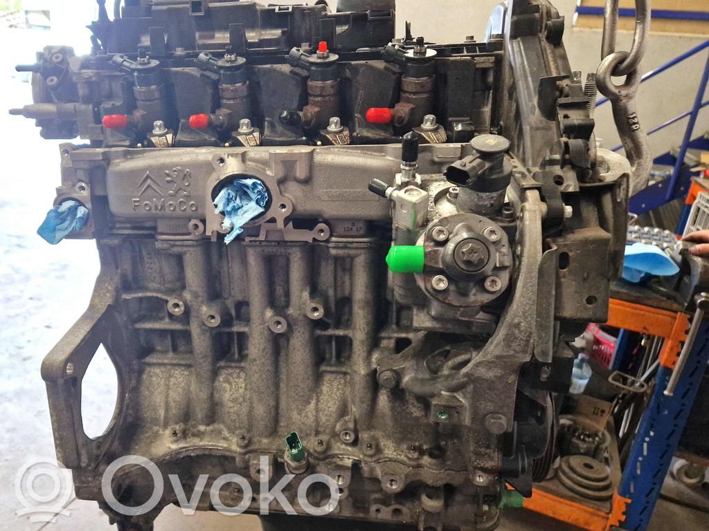 Variklis   GM5Q6006AA,GM5Q6006AA