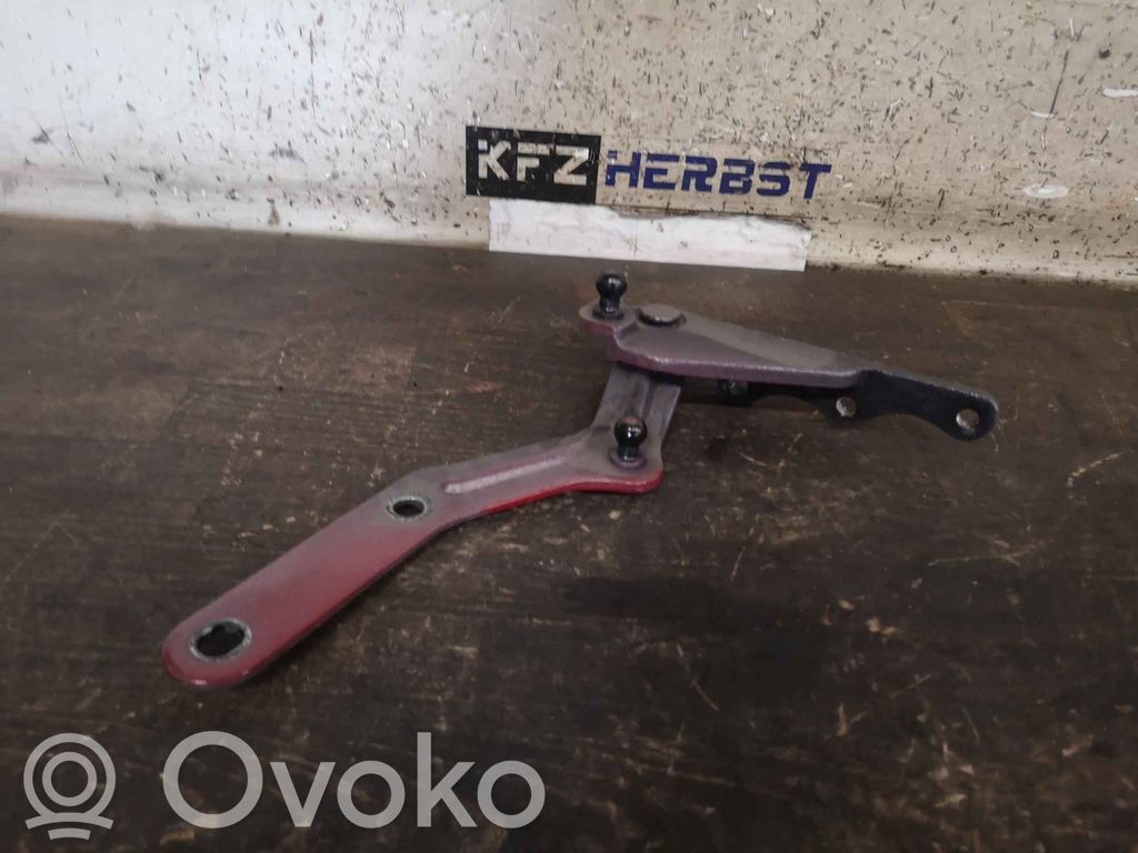 Tesla Model X Rear door hinge set 