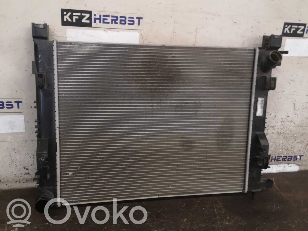 Kit Radiateur   214107326R,214107326R
